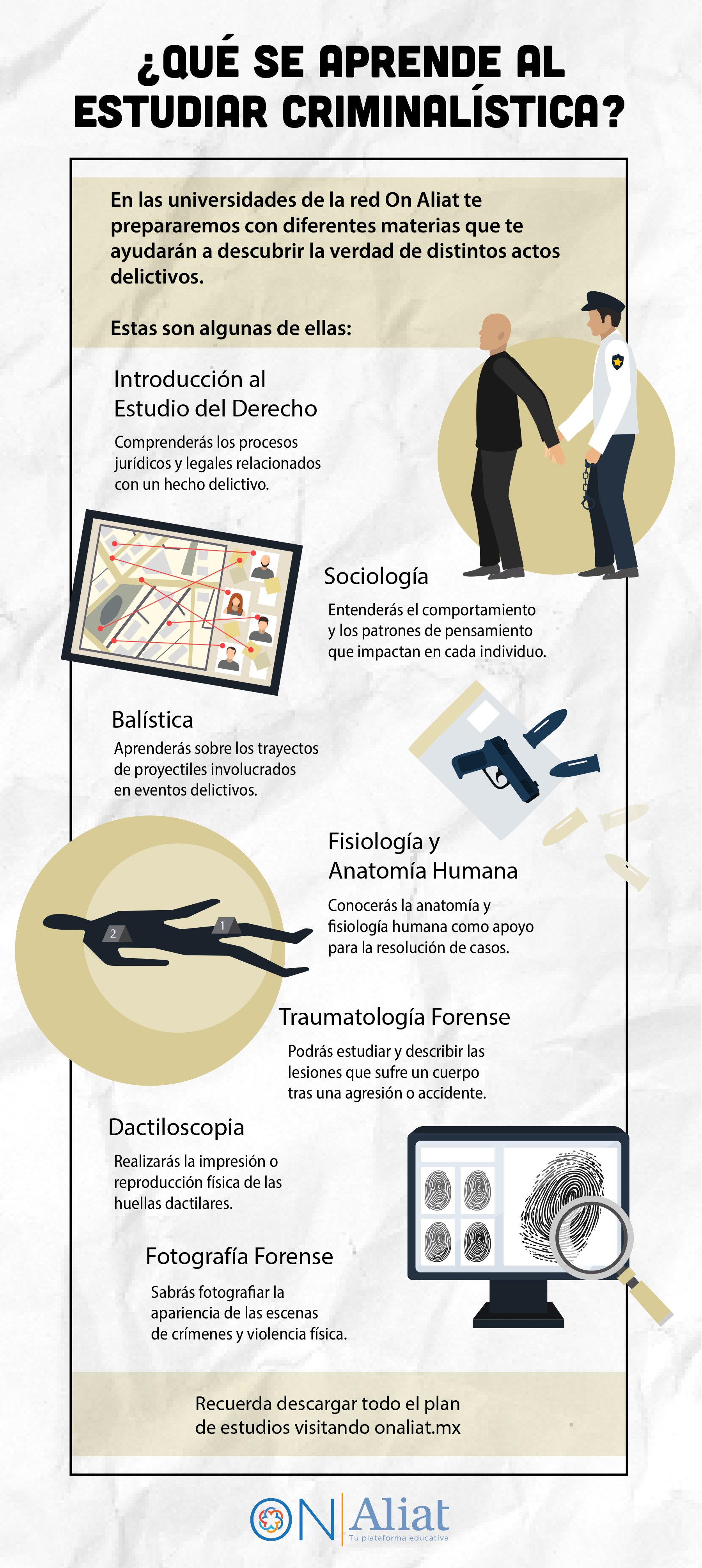 infografía que muestra qué se aprende al estudiar criminalística y las materias de criminalística que te enseñarán a descubrir la verdad en distintos delitos