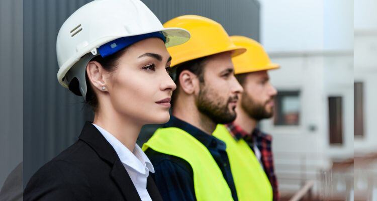 Ingeniería Sistemas materias